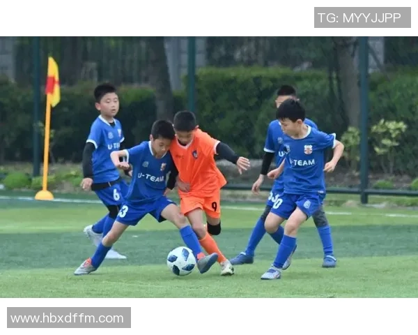 新梦想足球球星闪耀绿茵展现拼搏精神引领未来激情盛宴